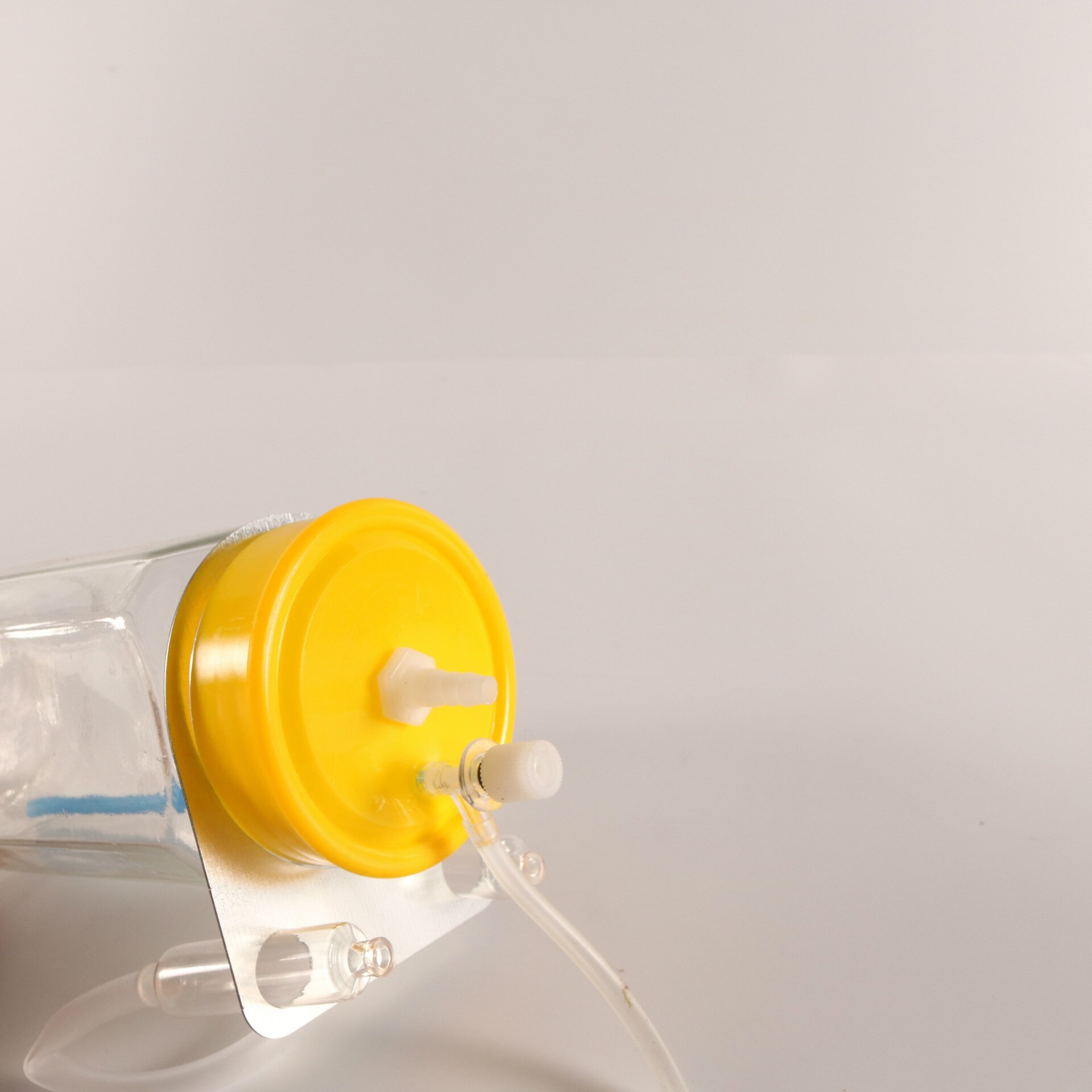 Fruit Wine Vinegar Fermentation Device Biology Teaching Instrument Biological Fermentation Experiment Props Fermentation Bottle