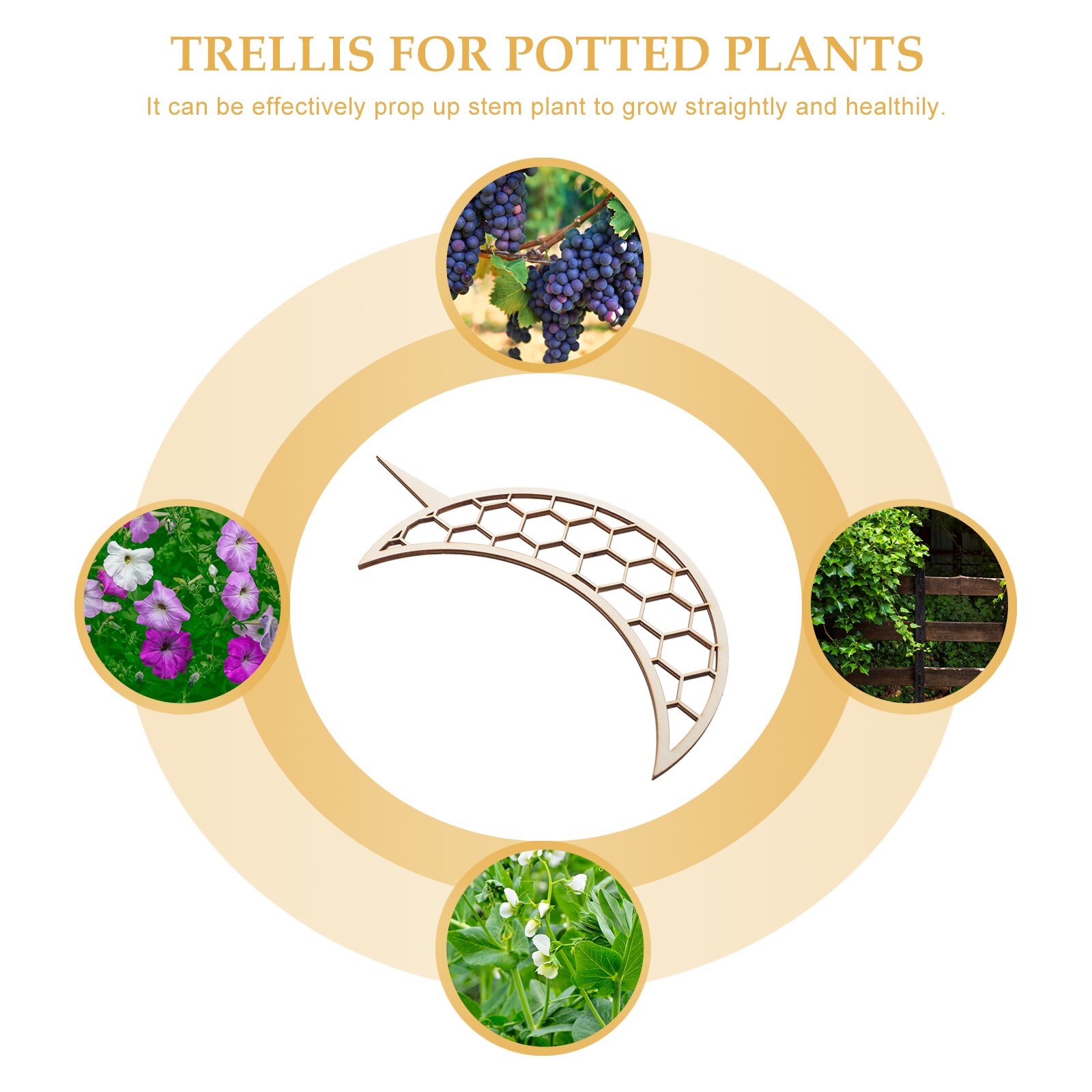 3pcs Plant Climbing Supports Plant Trellis Garden Supplies Climbing Plants Trellis