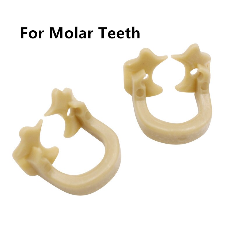 Abrazaderas de presa de goma Dental, Clip de barrera de goma, Material de resina para instrumento de laboratorio Dental, producto de odontología, 2 uds.: 2 pcs molar teeth
