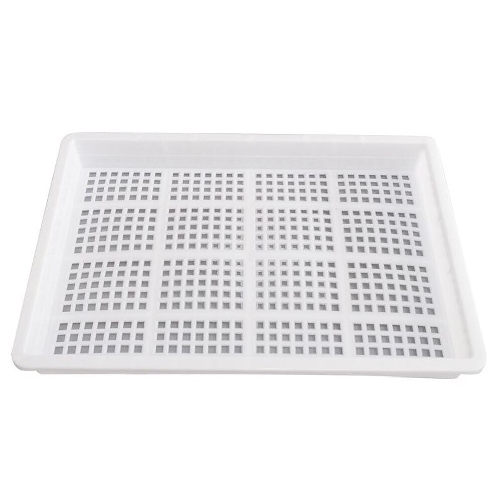 Hydroponic Water culture seedling tray Vegetable Equipment Soilless Cultivation