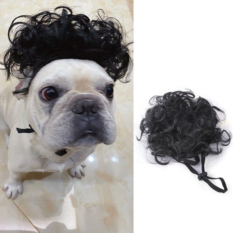 Huisdier Pruiken Cosplay Props Hond Kat Cross-Dressing Haar Set Fotografie Grappige Rekwisieten Hoofdaccessoires Prank Dierbenodigdheden Kostuums DIY: Black