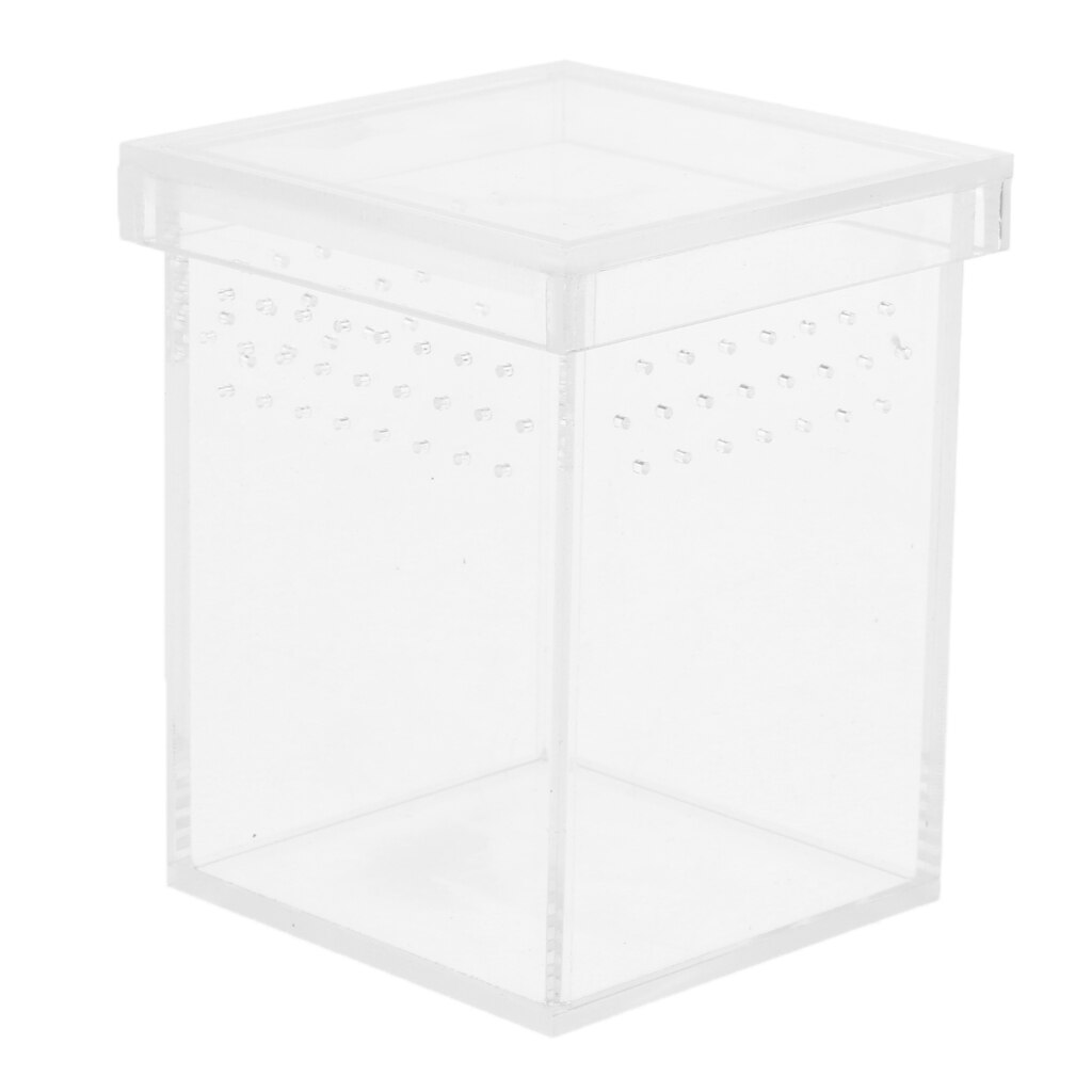 Acrylic Reptile Turtle Tank Insect Spiders Breeding Box Tortoise Terrariums