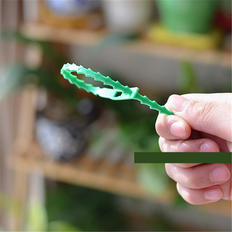 50 stk fiskebein banding hage wrap drivhus lianer plante potte vinstokker bundet verktøy plante støtte stropping spenne faste stropper klips