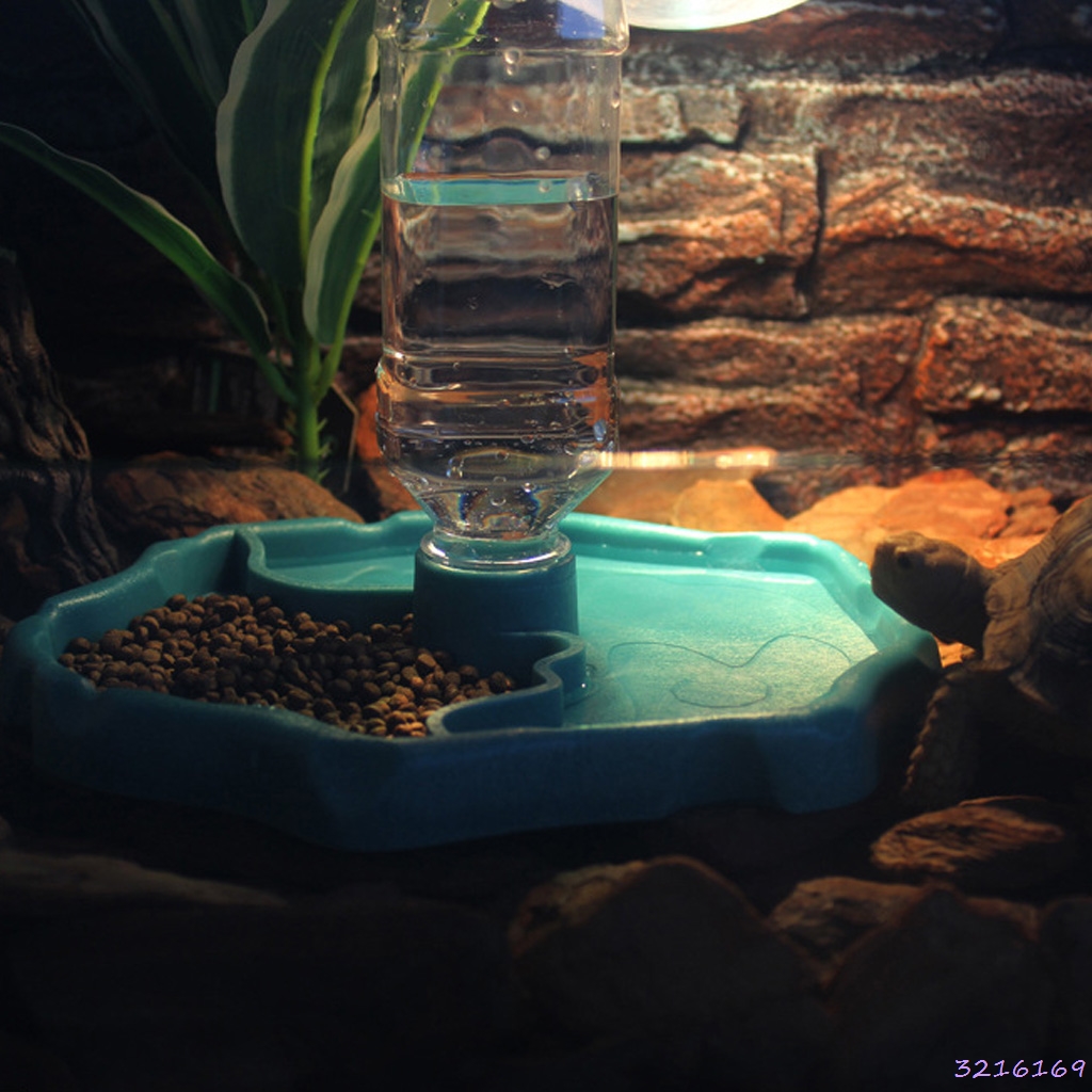 Reptile Feeder 2 in 1 Automatic Water Food Feeding Plate Lizard Turtle Dispenser