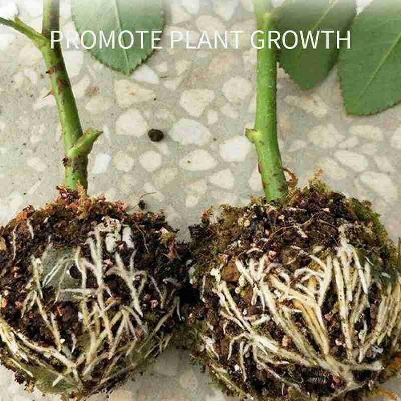 1 Piece of Plant Rooting Ball Grafting Rooting Incubator Garden Breeding Box