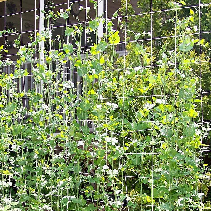 20m Garden Plant Trellis Netting Heavy Duty Mesh Vine Landing Weaving Grow Frame for Vegetable Orchard Flower Cucumber Climbing