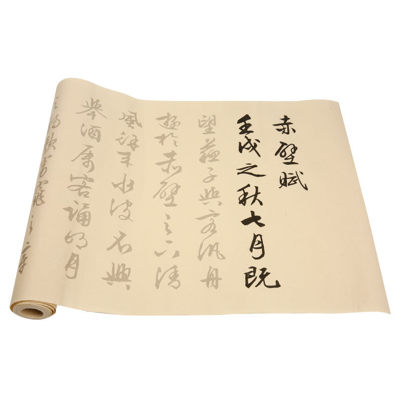 Chinese Wen Zhengming Brush Pen Calligraphy Copybook Rolling Rice Paper Copybook Adult Running Script Calligraphy Copybooks