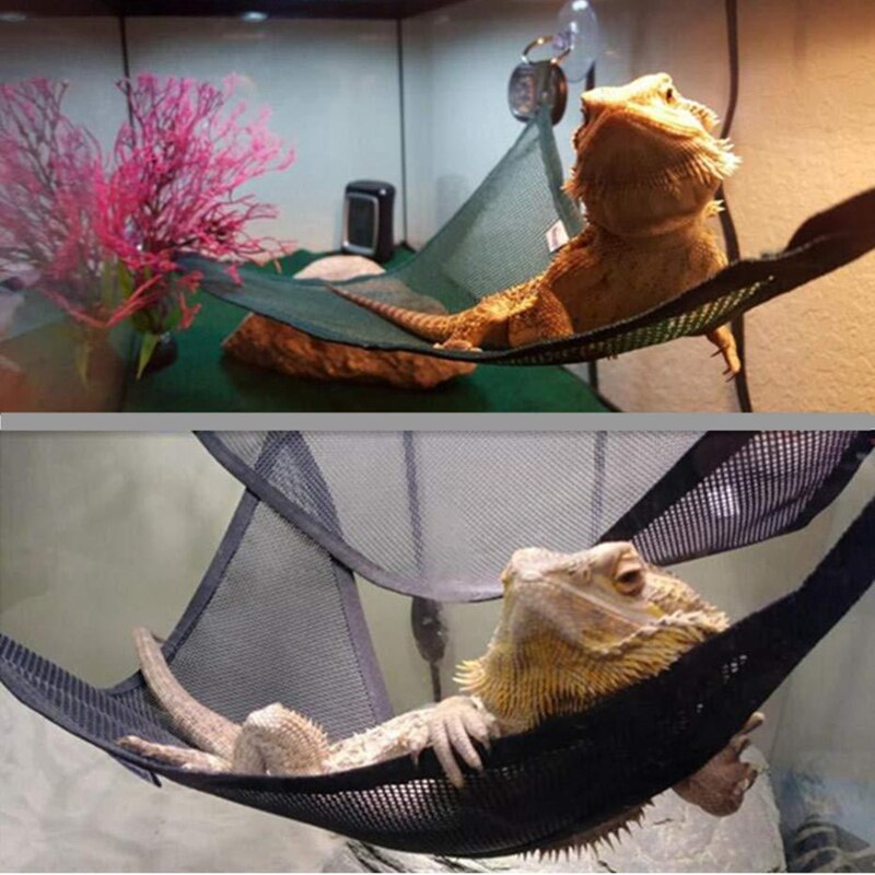 Hamaca para Reptiles, Reptiles, lagarto, esquinas triples, juguetes con ventosas, 4 piezas