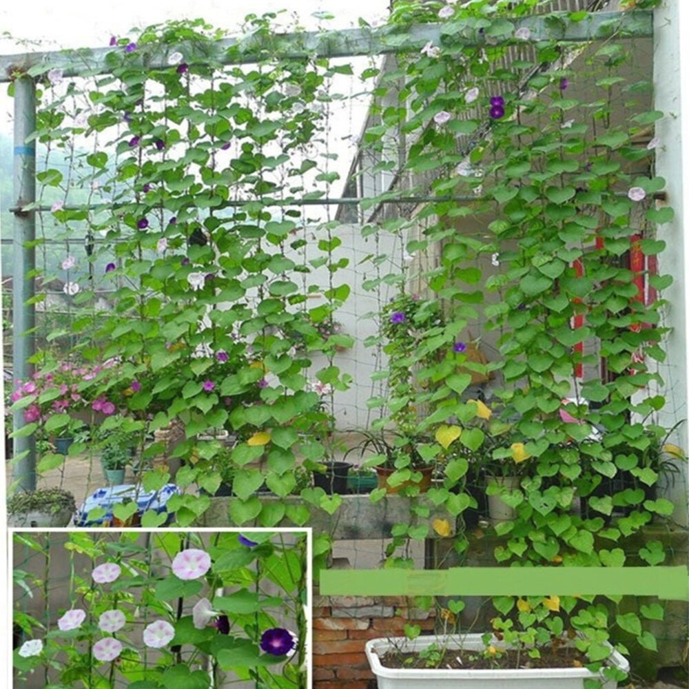 Gardening Network Plant Support Grow Net Holder Garden Fence Plants Climbing Nylon Net for Cucumber Morning Glory Petunia Flower