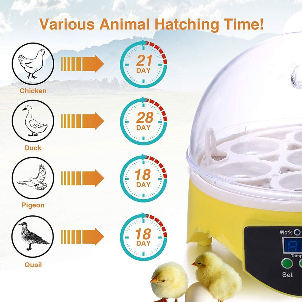 Mini 7 Egg Incubator Poultry Incubator Brooder Digital Temperature Hatchery Egg Incubator Hatcher Chicken Duck Bird Pigeon