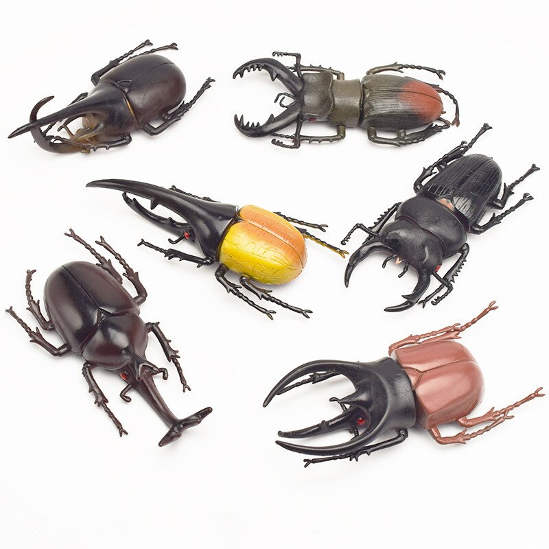 Escarabajo de juguete de simulación de 6 estilos, 13cm, modelo realista, juguete de simulación de insecto, ayuda en Enseñanza de guardería, colección de juguetes para niños, vestido