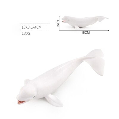 Classic Toys Whales Blue Whales Marine Animal Models Undersea Creatures Killer Sharks Whales Series Whale Toys: D