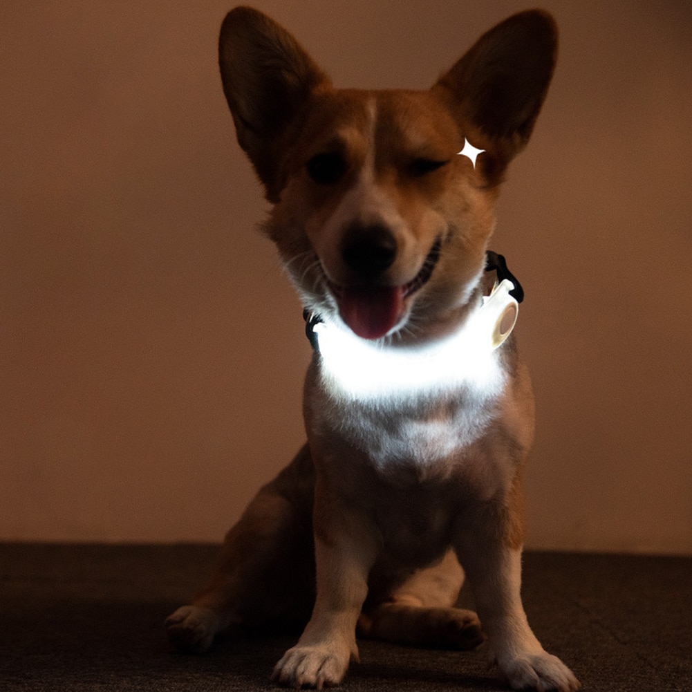 Buiten wandelen op batterijen hondenhalsband licht huisdierbenodigdheden nachtveiligheid gloeiende kattenriem accessoires fel knipperend led