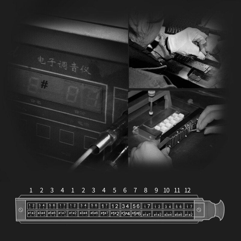 Harmonica 12 Holes Harp 48 Tones Diatonic Harp Key C Blues Jazz Mouth Organ Harp Early Education Music Sense Training