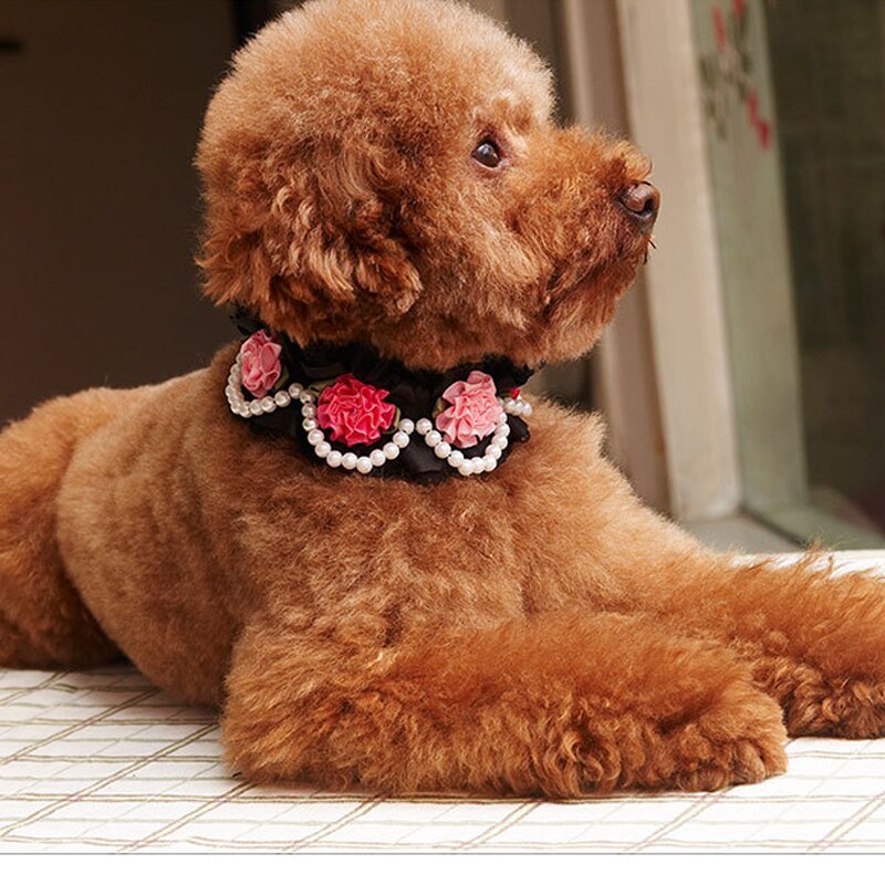 Pets Supplies Lace Pearl Decoration Cute Bichon Frise Teddy Puppy Dog Cat Collars Handmade Flowers For Kitten Pet Accessories