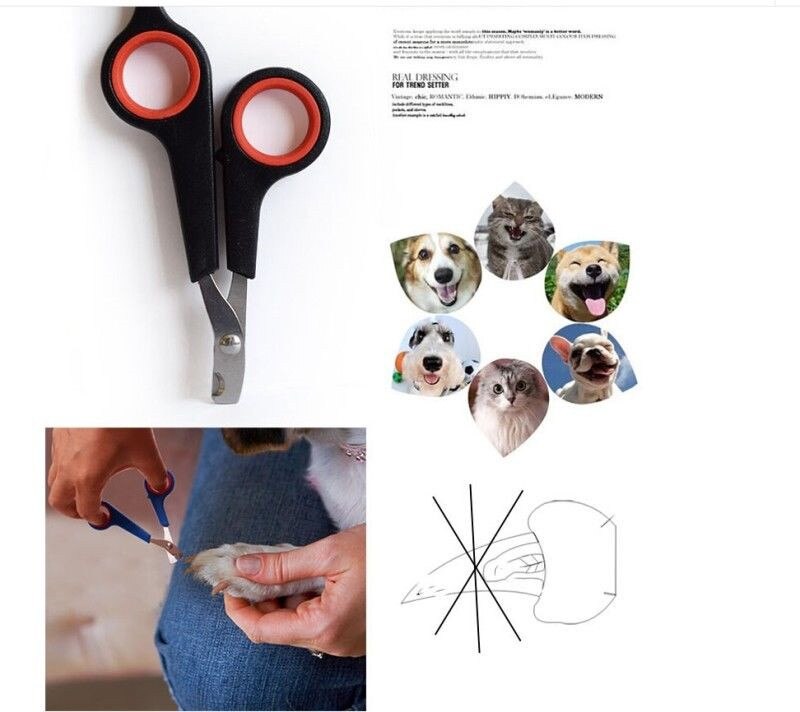 Dog Cat Pet Claw Toe Nail Cutter Clipper Trimmer Grooming Scissor Shear Groomer