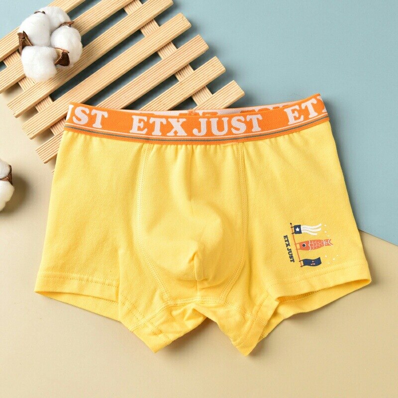 Sous-vêtements Garçons 92 Ensemble 3 PCS - Slips Imprimés Mignons En Coton Pour Enfants