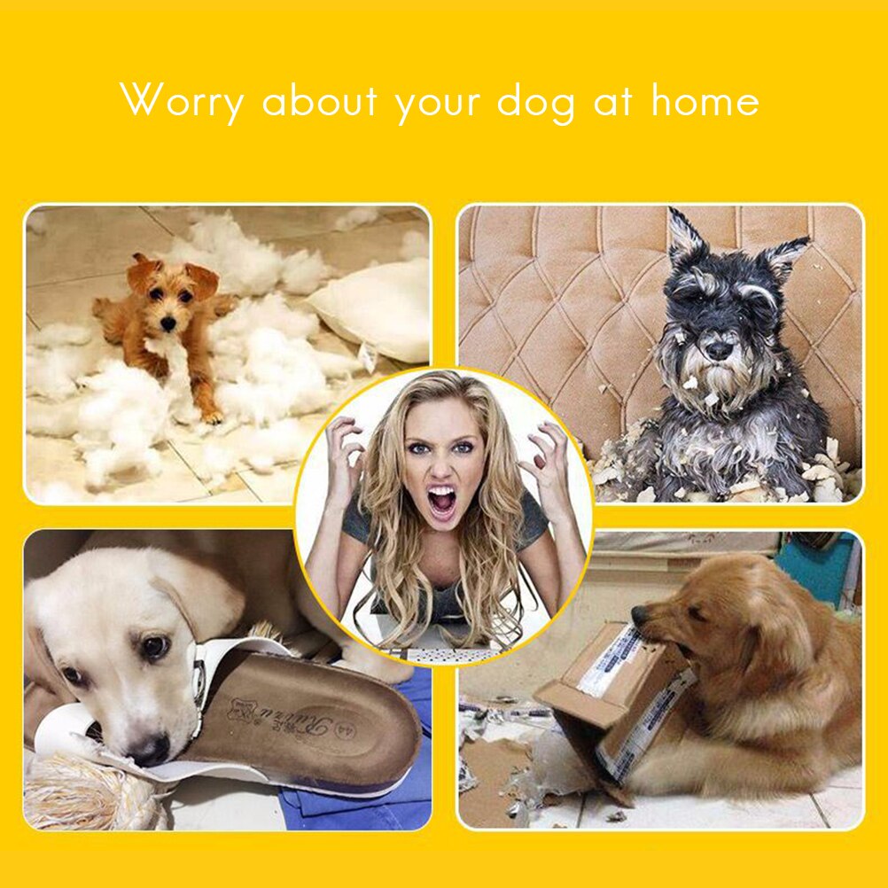 2 uds divertido mascotas cachorro de perro gato bola juguete dental de PVC masticar sonido los perros juegan atractiva Squeak Squeaker juguetes suministros para mascotas