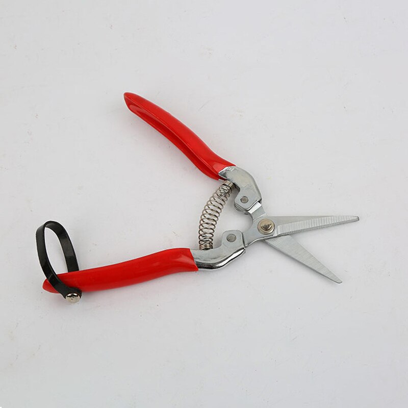 Stainless Steel Tree Pruning Garden Shears Grass Fruit Cutter Gardening Scissors Branch Pruners BOM666