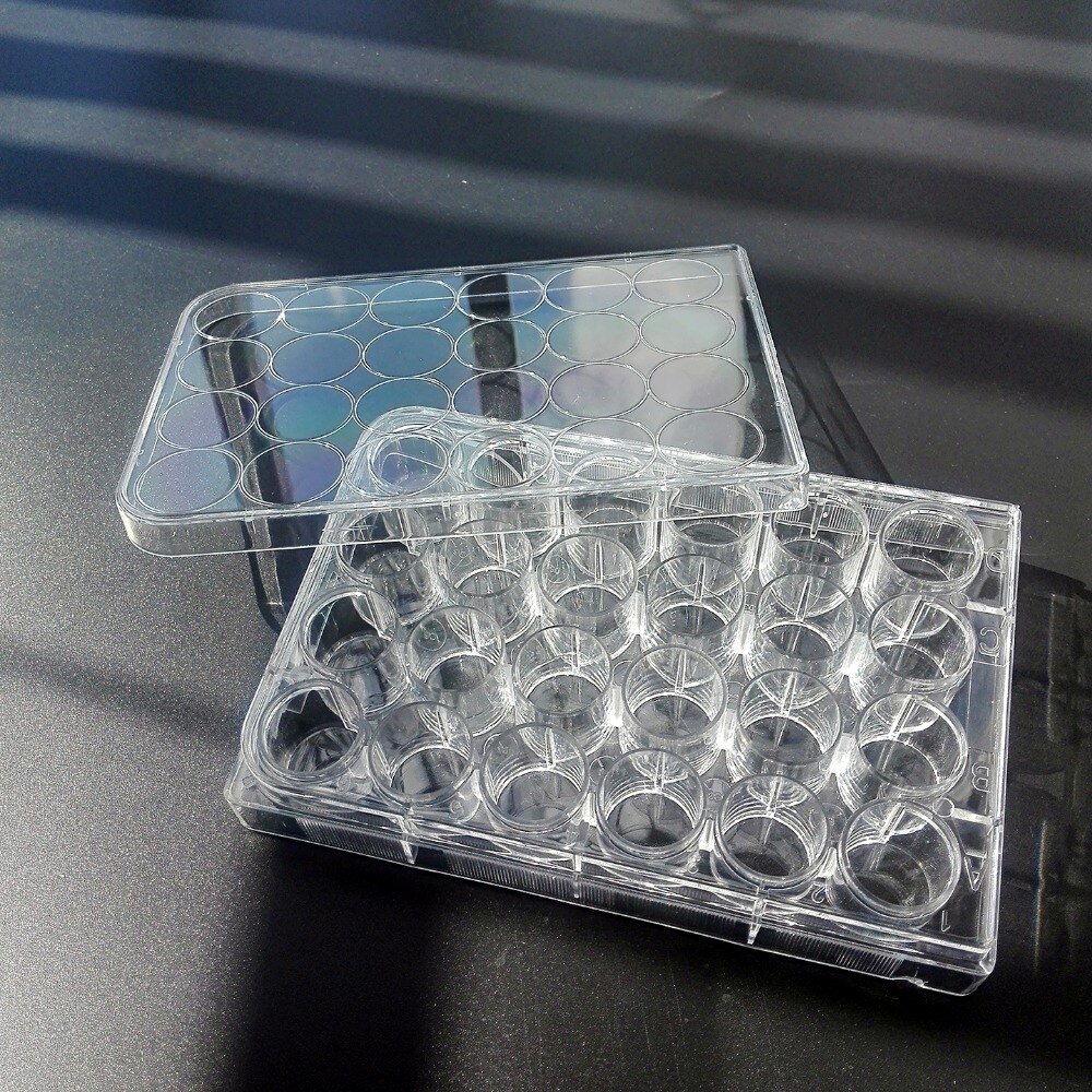 5 stk , 24- huller engangs petriskål 24- brønds bakteriekulturplade steriliseringsskål uafhængig emballage