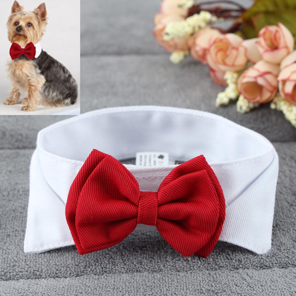 Smuk hund kat butterfly brudgom smoking kostumer kæledyr hunde slips bryllup tilbehør pleje rød bowtie: Rød