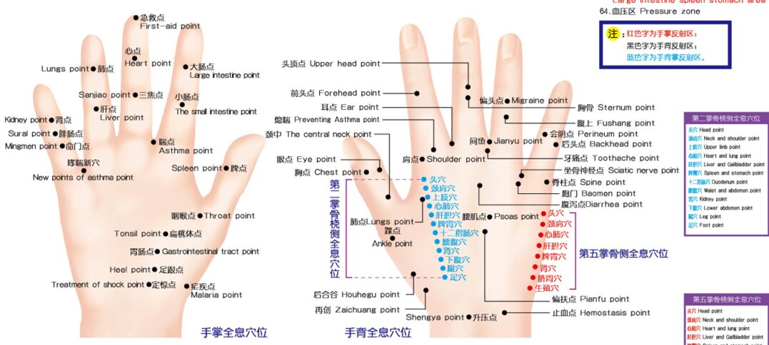 Standard fodreflekterende zoner og meridianpunkter på menneskelige vægkort, fodmassage