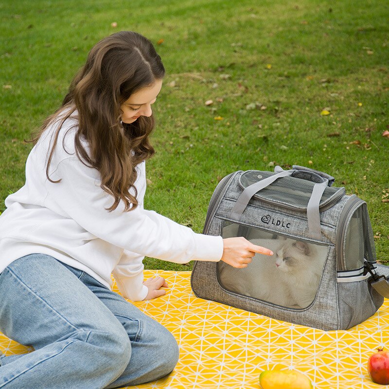 Dierbenodigdheden Ademende Schouder Kat Zak Sheer Mesh Puppy Handtas Hond Carrier Outdoor Travel Gereedschap Kitten Draagtas
