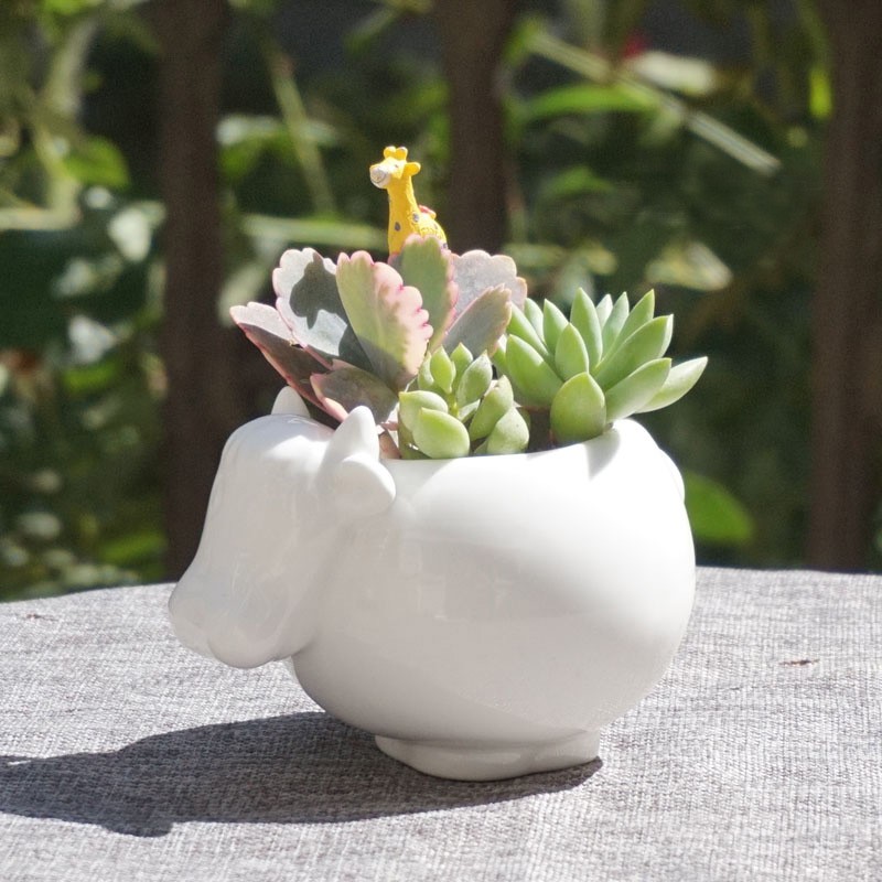 Maceta de cerámica Kawaii Pequeño animal, de porcelana blanca suculenta maceta de plantas y flores, decoración para el hogar, florero de jardín, miniadornos de escritorio