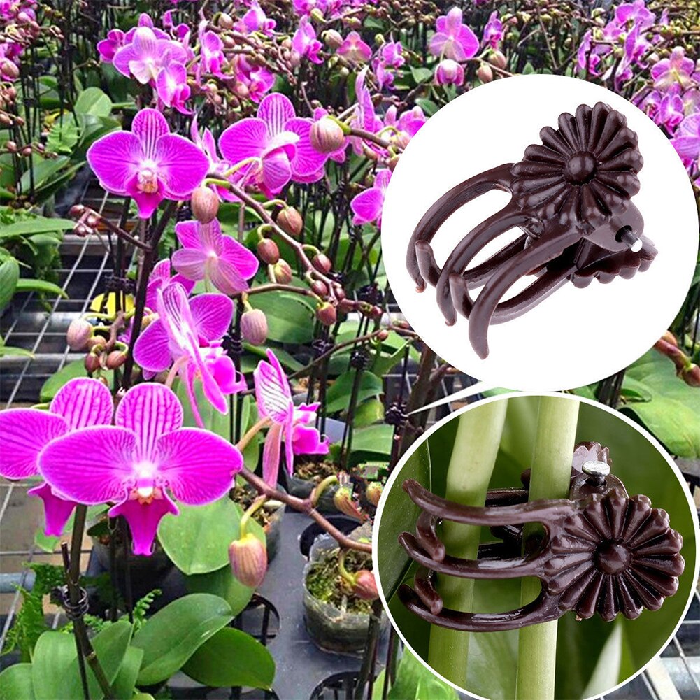 100Pcs Plastic Vine Decoration Flower Plant Support Orchid Clips Stalks Fix Hanging Garden Grow Upright Stems Grafting Tool