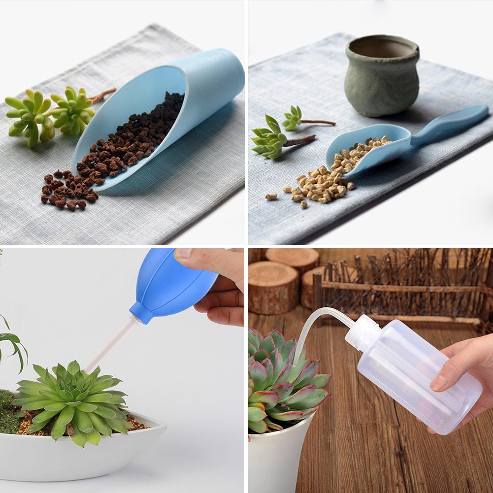 6PCS Gardening Tools Succulent Plant Planting Kit Garden Hand Tools Set #EW