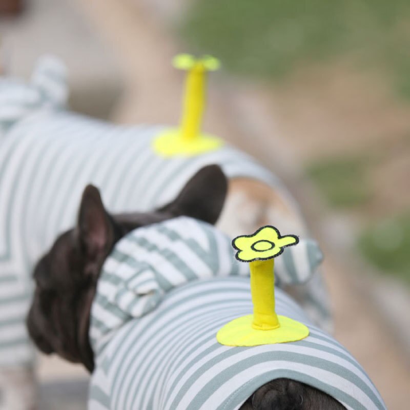 Sød fransk bulldog gris jumpsuit kjole kæledyr hund tøj små mellemstore hunde hvalpefrakke varm hættetrøje tøj chihuahua jakke xic 10