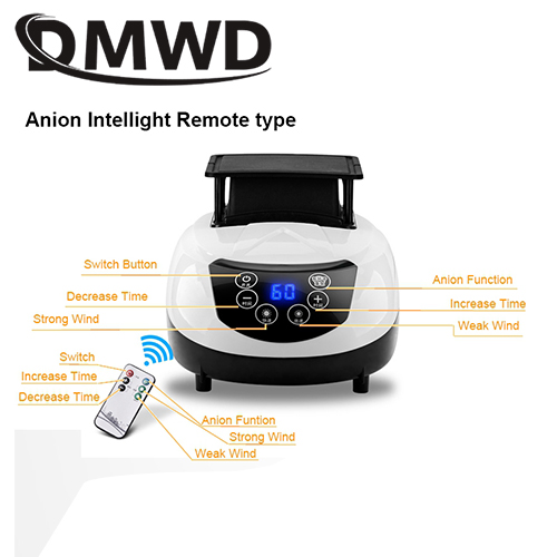 DMWD Electric Clothes Dryer Mini Remote Negative Ion Laundry Drying Machine Garment Warm Wind Shoes Anion Sterilizer Air Warmer: Anion intelligent