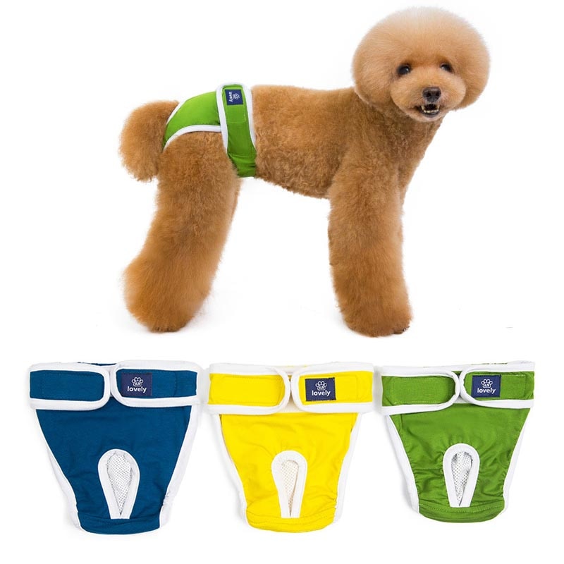 Hund Physiologischen Hosen S-XXL Windel Sanitär Waschbar Weibliche Hund kurze Hose Höschen Menstruation Unterwäsche Slip Gesamt für Hund
