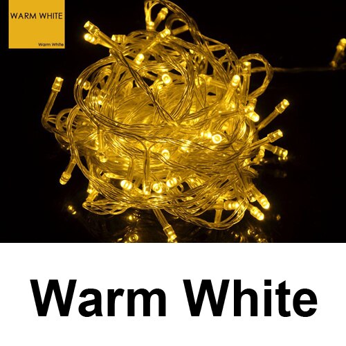 Flexible 220V 110V Waterproof LED Light String Garland for Party Wedding Christmas Decor 10M 100 LEDs Chain Fairy String Lights: Warm White / 220V EU Plug