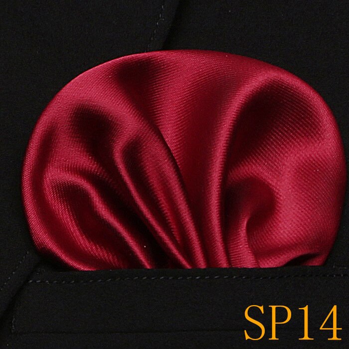 Luxury Classic Neckties Classic Men's Wedding Ties Jacquard Woven 100% Silk 6cm Men Neck Ties: SP14