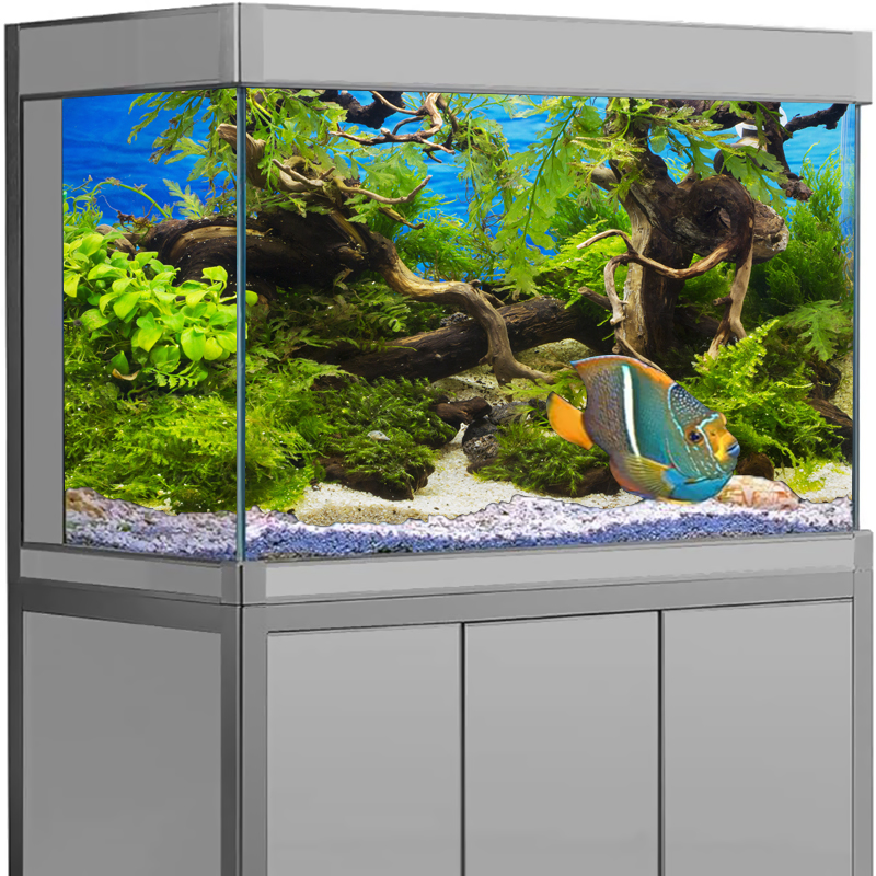 Autocollant de fond d'aquarium, affiche de fond, plante, poisson précieux, décoration, papier peint auto-adhésif, fond 3D