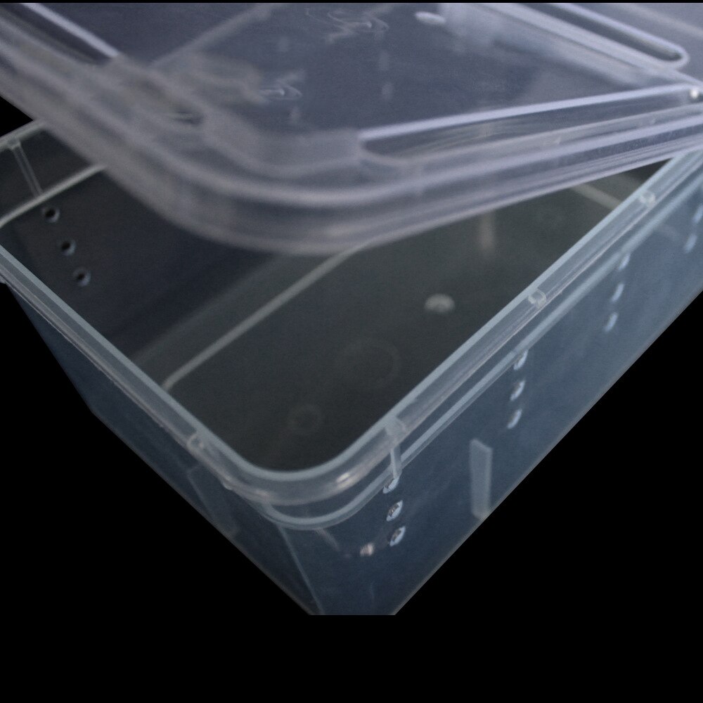 for Habitat lizard insect Amphibian Frog Spider 19*12.5*7.5CM Plastic Small Reptile Pets Feeding Cage Box