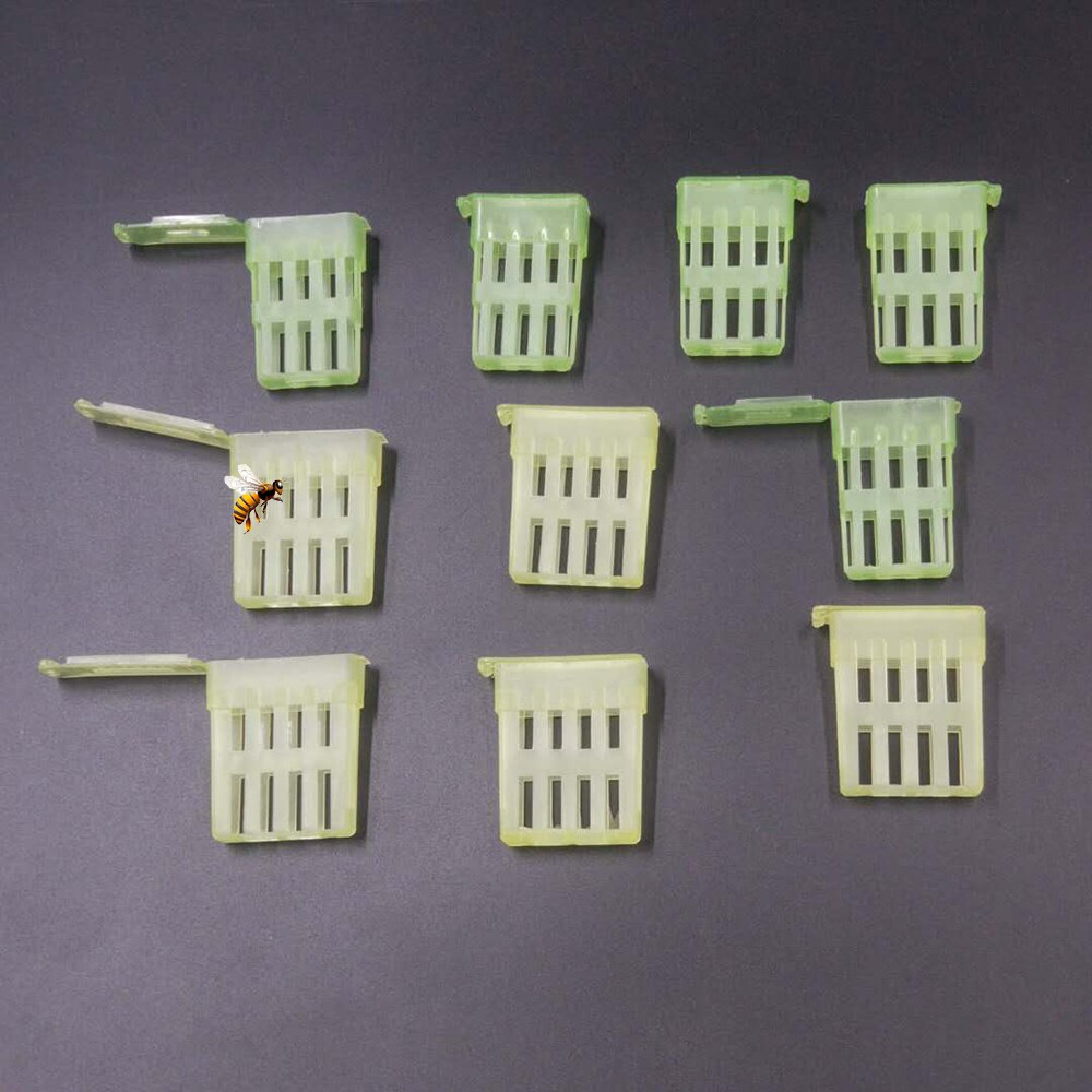 Plastic Queen Bee Cell Protector Cages – Pack Of 10 – Beekeeping Supply