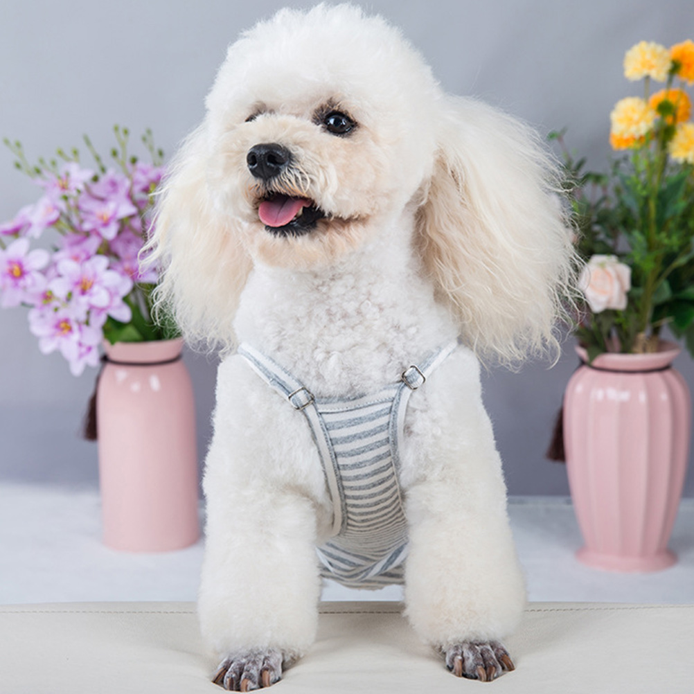 Hosenträger, physiologische Hosen, Heimtierbedarf, Welpen-Hygiene-Höschen, Hundewindeln, Geschirr für kleine Hunde