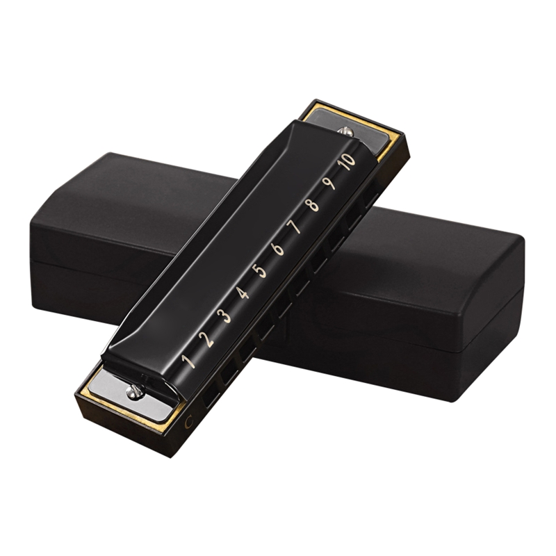 Key of C Blues Harmonica 10 Holes 20 Tones Diatonic Blue Harp Mouth Harmonica Organ for Adults, Players: BK