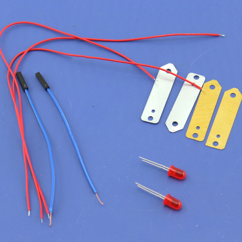 Fruit Energieopwekking Experiment Geen. 1 Wetenschappelijk Experiment Aardappel Power Generatie Kleine Experimentele Apparatuur Diy