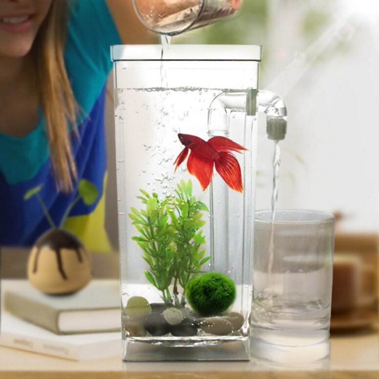 Aquarium en acrylique multicolore, avec lumière LED, bureau Transparent, nœud de poisson
