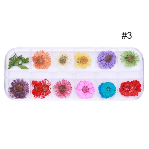 1 doos Kleurrijke Natuurlijke Droge Bloemen Bloemen Gemengde Patronen 3D Nail Art DIY Decoraties Gereedschap Voor UV Gel Polish