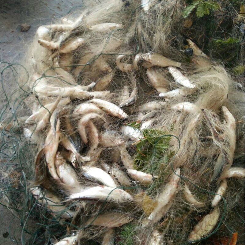 Trampa de malla de pesca, red de enmalle monofilamento, aparejos de red con flotador para exteriores 20M x 1M