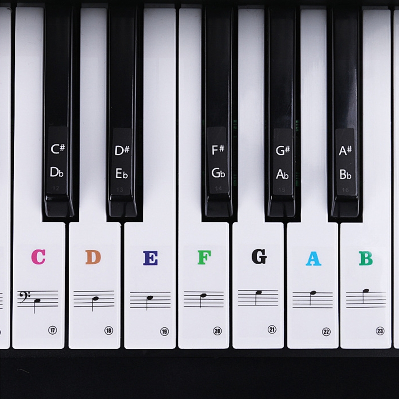 Transparent Piano Keyboard Stickers Symbol 54/61/88 Electronic Keyboard Key Piano Stave Note Sticker for Piano Beginner Learning