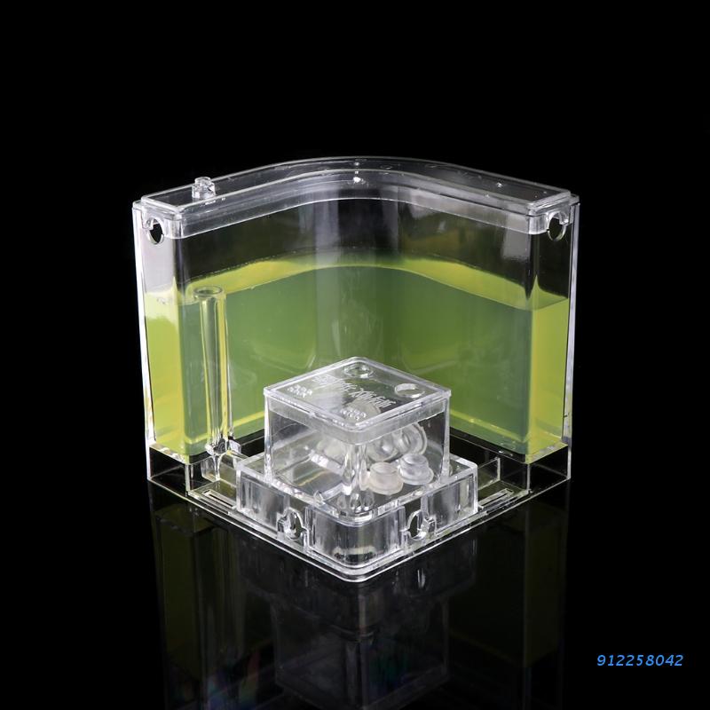 Ant Farm Gel Maze 3D Educational Nursery Live Feeding System Novelty Habitat