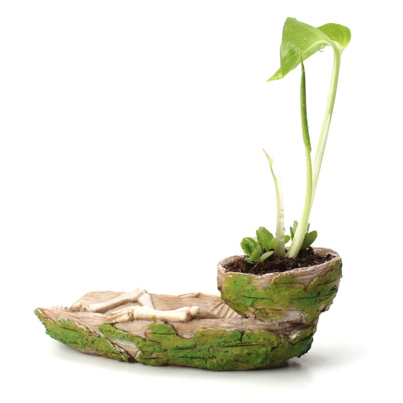 Cuenco de comida para reptiles, esqueleto, anfibio, mascota, jaula de dragón barbudo, decoración de roca, inyección de agua, función de humidificación
