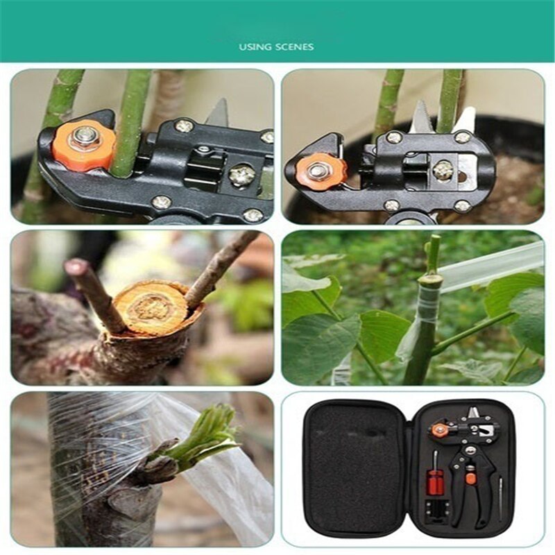 Plant Cut Nursery Shear floristry Garden Branch Cu... – Grandado