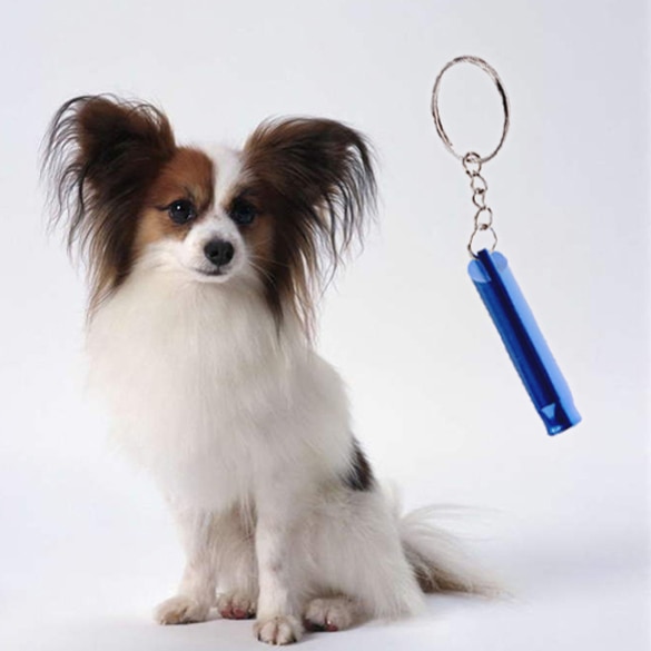 Silbato de perro llavero Entrenamiento de mascotas ajustable flauta ultrasónica llavero con silbato con sonido para perro: Default Title
