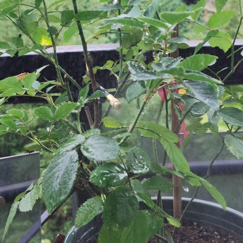 Sistema de enfriamiento por nebulización para exteriores, 10-30M, 4/7PVC, riego de jardín, boquillas atomizadoras de latón ajustables de 1/4 pulgadas, microaspersores